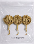 Trois. Roses de Jéricho.